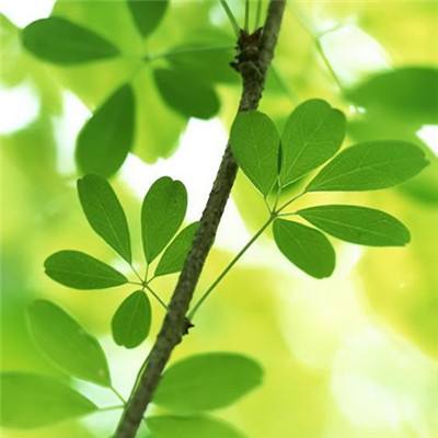 3月25日龙虎榜解析：立讯精密当日净买入额最多